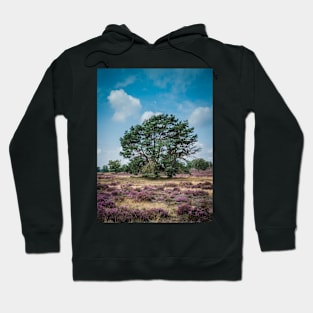 Heathland with trees early in the morning Hoodie